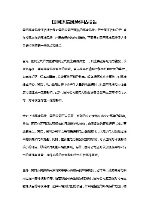 国网环境风险评估报告