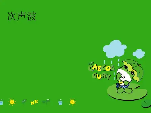 【精品】次声波幻灯片
