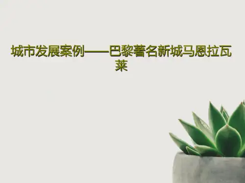 城市发展案例——巴黎著名新城马恩拉瓦莱PPT文档42页