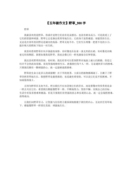 【五年级作文】野草_300字