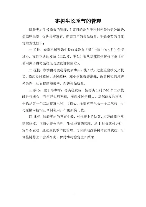 枣树生长季节的管理