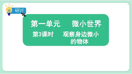 观察身边微小的物体小学科学六年级上册PPT课件