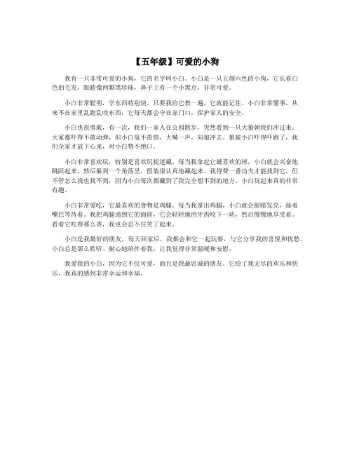 【五年级】可爱的小狗