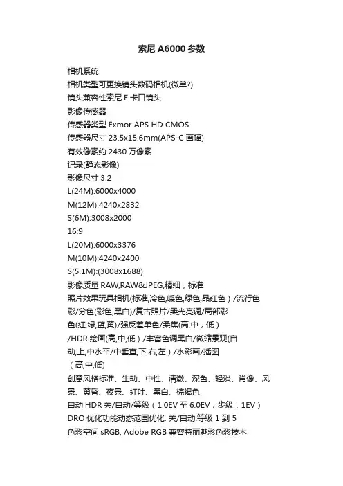 索尼A6000参数