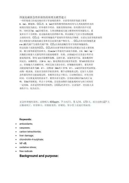 四氯化碳致急性肝损伤的原理