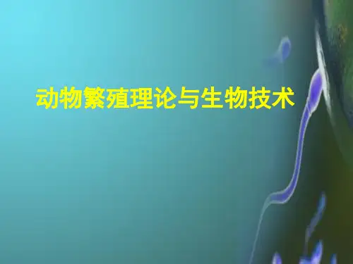妊娠和分娩