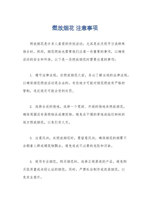 燃放烟花 注意事项