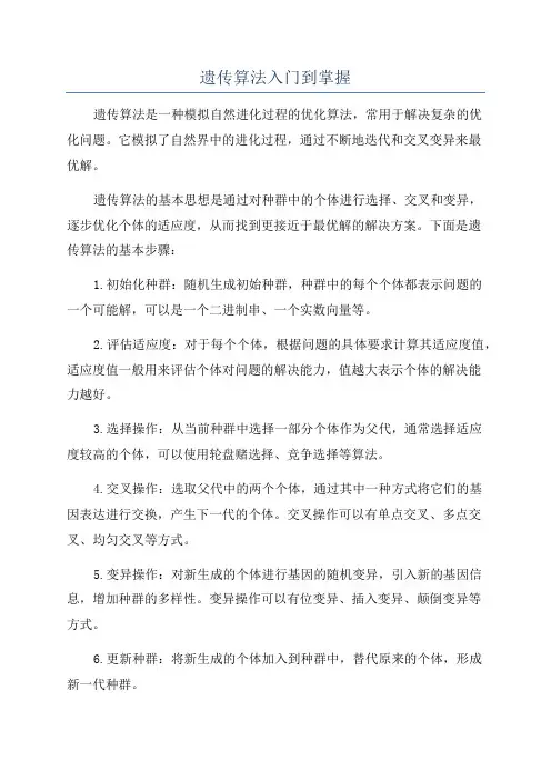 遗传算法入门到掌握