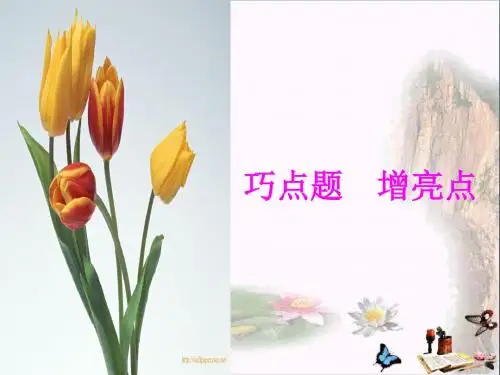 初中作文指导 巧点题,增亮点PPT课件