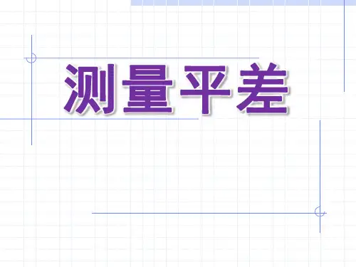 平差的PPT