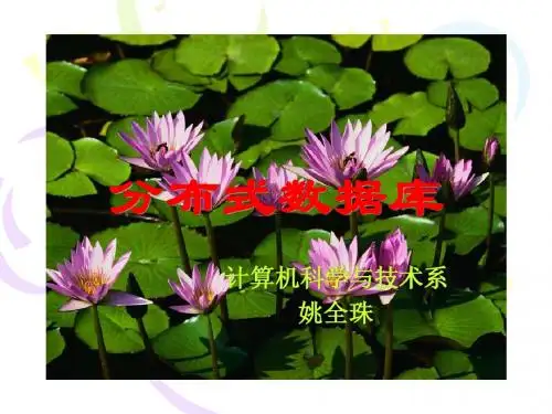 第2章分布式数据库概念