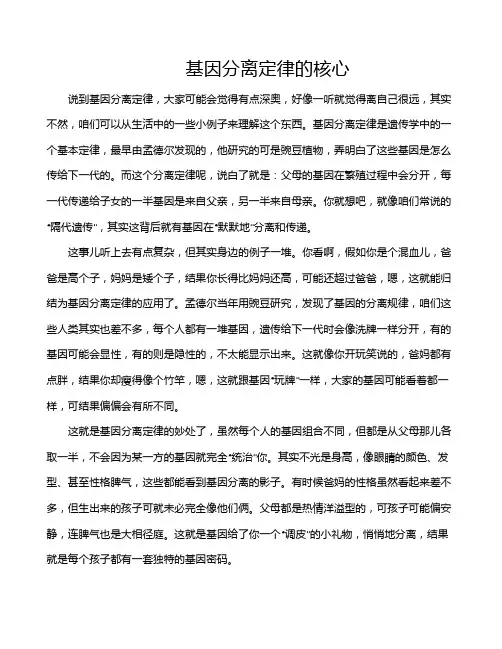 基因分离定律的核心