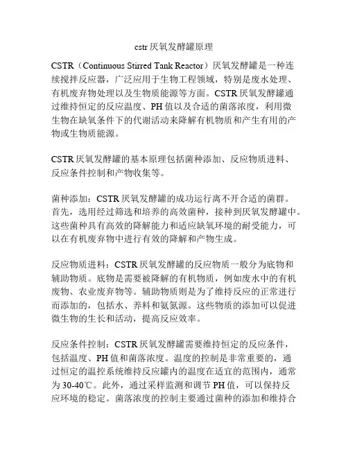 cstr厌氧发酵罐原理