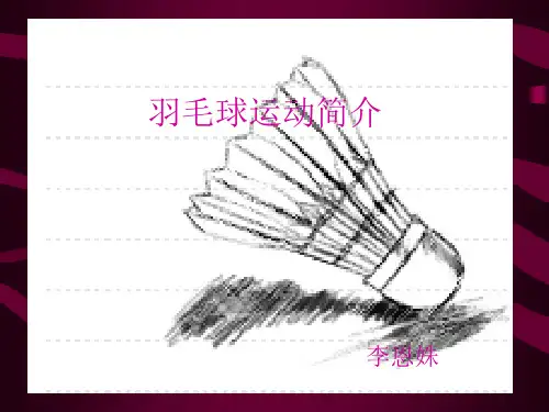 羽毛球简介