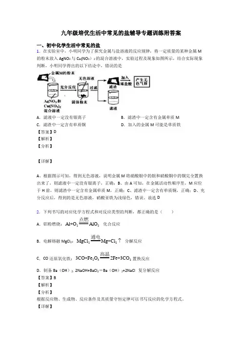 九年级培优生活中常见的盐辅导专题训练附答案