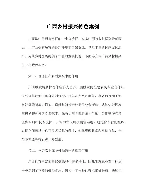 广西乡村振兴特色案例