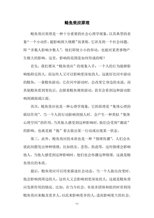 鲶鱼效应原理