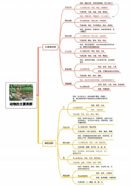 八年级上册生物人教版思维导图