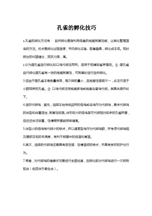 孔雀的孵化技巧