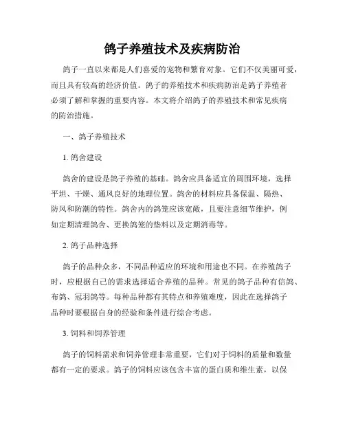 鸽子养殖技术及疾病防治