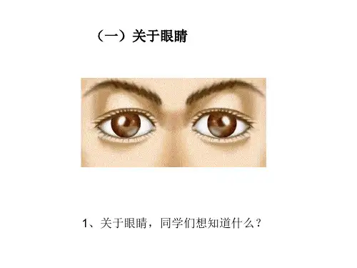 医学专题5.4眼睛和眼镜PPT