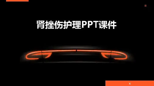 肾挫伤护理PPT课件