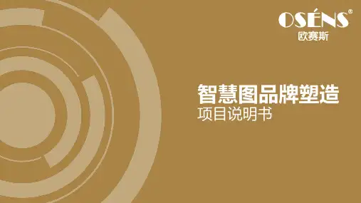 欧赛斯教你一个完善的营销策划流程包含哪些内容