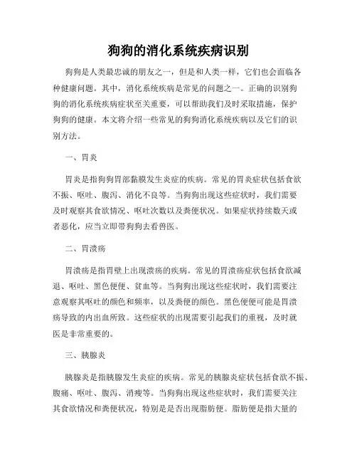 狗狗的消化系统疾病识别