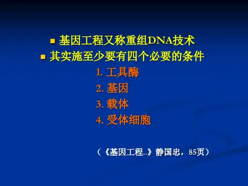 噬菌体载体