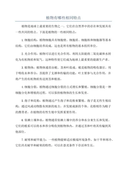 植物有哪些相同特点