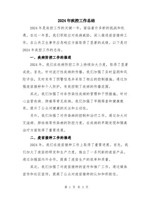2024年疾控工作总结
