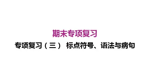 专项复习(三) 标点符号、语法与病句