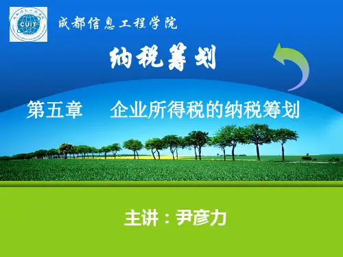 纳税筹划第五章