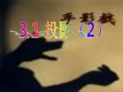 《三视图与表面展开图》3.2投影