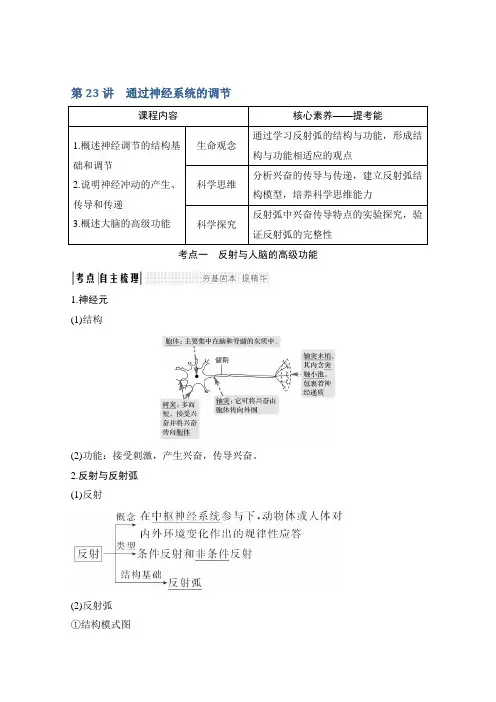 2020版生物高考新素养总复习新高考(鲁京津琼)讲义：第23讲+通过神经系统的调节和答案