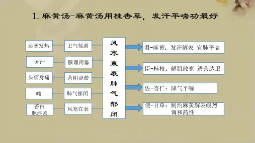 中医方剂思维导图