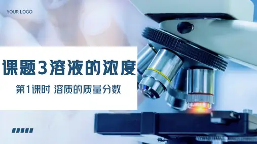 第1课时 溶质的质量分数 九年级化学下册课件(人教版)