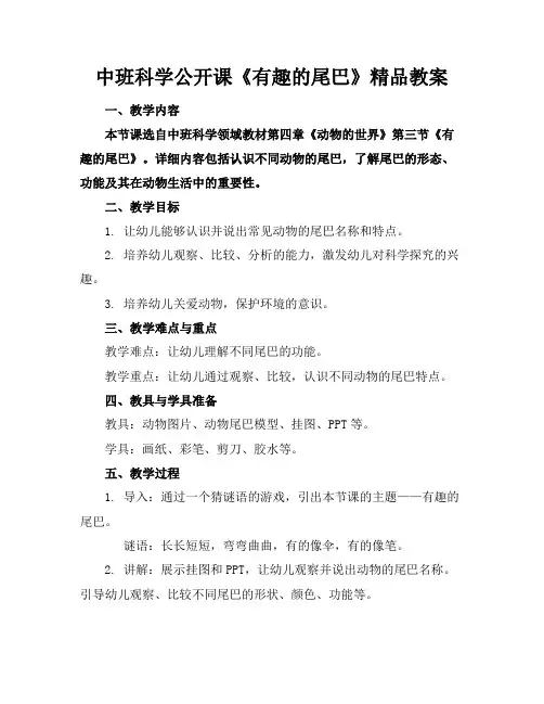 中班科学公开课《有趣的尾巴》精品教案