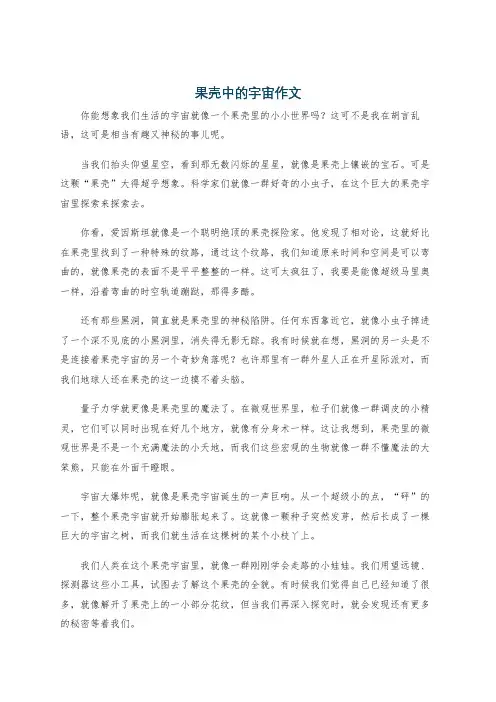 果壳中的宇宙作文