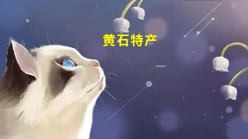黄石特产  