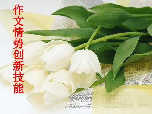 作文形式创新技巧