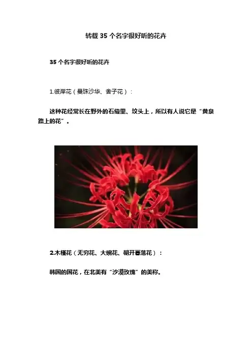 转载35个名字很好听的花卉