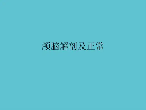 【完整】颅脑解剖及正常资料PPT