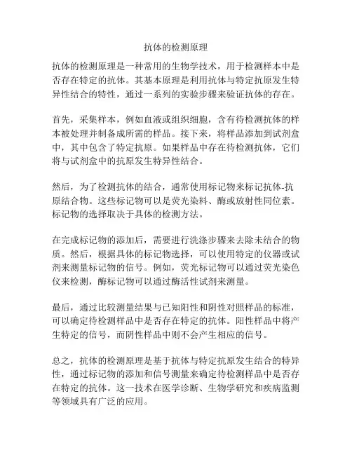 抗体的检测原理