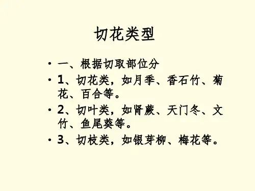 切花栽培幻灯片