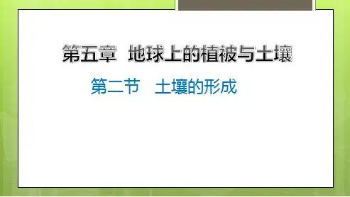 高中湘教地理必修第一册课件第五章第二节土壤的形成