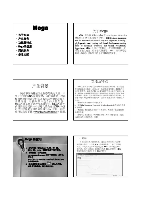 Mega软件使用说明