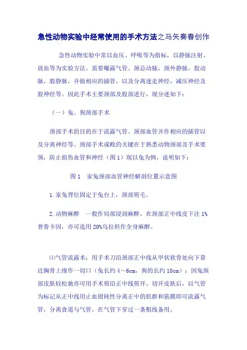 动物气管插管