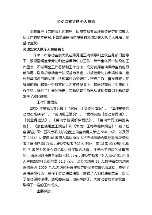 劳动监察大队个人总结
