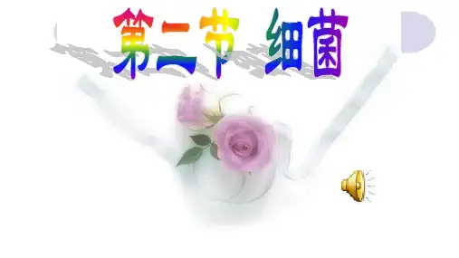 人教版生物八年级上册细菌公开课教学课件共26张PPT可编辑全文